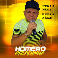 Despedida de Casado - Homero Pizadinha