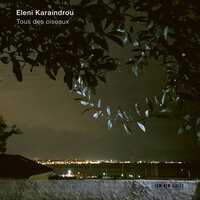 Karaindrou: Separation - Stefanos Dorbarakis & Sokratis Sinopoulos & Nikos Paraoulakis & Dinos Hadjiiordanou & Argyro Seira & Camerata Orchestra