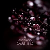 Endorphin - Germind