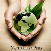 Paz Interior - Naturaleza