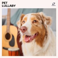 Pet Ambient Music - Pet Music Maestro & Puppy Music Dreams & Pet Care Relaxing Companion & Calm Pet