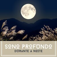 Músicas para Aliviar o Stress - Amélia Estresse