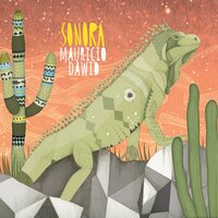 Espejos de Sonora - Mauricio Dawid