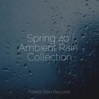 Surface Rain - Nature Sounds Radio & Study Music & Sounds & Schlaflieder Für Kinder