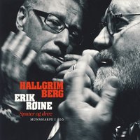 Trip Berg - Hallgrim Berg & Erik Røine