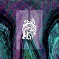 Like I Feel It - Vasco Fortes
