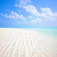 浅夏与心花(办公室钢琴曲) - 一只千纸鹤