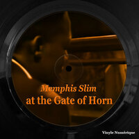 Wish Me Well - Memphis Slim