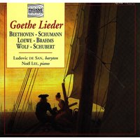Rastlose Liebe, Op. 5 No. 1 - Noel Lee & Ludovic de San & Франц Шуберт