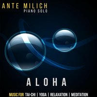 Part VI - Ante Milich
