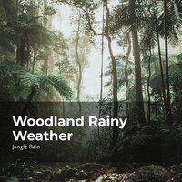Raining in the Woods - Nature and Rain & Deep Rain Sampling & Jungle Rain