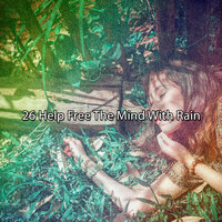 гул на расстоянии - Sounds Of Nature : Thunderstorm, Rain