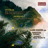 Concerto No. 2 for Cello & Orchestra in E Minor, Op. 30: Allegro - James Kreger