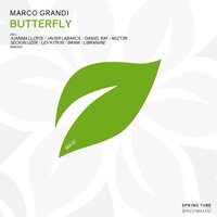 Butterfly - Marco Grandi