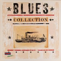 Tribute to Elmore James - Stefan Grossman & Paul Jones
