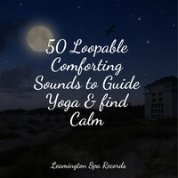 Serene Sounds - Rainy Sounds & Sons da Natureza & Rest & Relax Nature Sounds