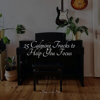 Fairy Dreams - Relaxed Minds & Relajante Música de Piano Oasis & Piano Soul