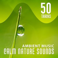 Quiet & Peaceful Music for Relax - Calm Music Zone