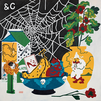 Black Widow Spider - Parquet Courts