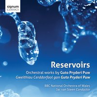 Concerto fo Oboe: I. Rumour - Moderato - The BBC National Orchestra Of Wales & David Cowley & Guto Pryderi Puw & Jac van Steen