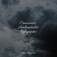 Fluir - Música a Relajarse & Fabricantes De Lluvia & Massagem Coleção de Músicas