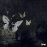 butterfly - ov3rdosed & teikoowtf