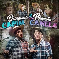 Capim Canela - MC Brinquedo & Mc Pedrinho