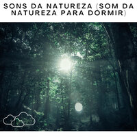 Sons Da Natureza (Som da Natureza Para Dormir), Pt. 131 - Serene Rose