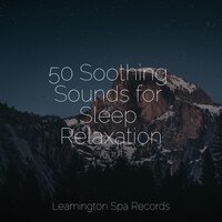 Ocean Wave Massage - Raindrops Sleep & The Relaxing Sounds of Swedish Nature & Academia de Música con Sonidos de la Naturaleza