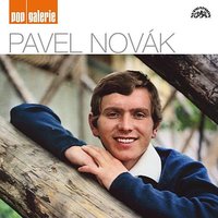 Žofie (What's New Pussycat) - Sbor Lubomíra Pánka & Pavel Novak & Josef Vobruba & Taneční orchestr Čs. rozhlasu & Hal David & Burt Bacharach