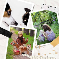 Playful Music for Anxious Pups - Relaxation Music For Dogs
