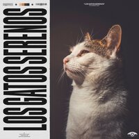 Sleep Harmony Quiet - Zona de música de gatos
