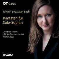 J.S. Bach: Mein Herze schwimmt im Blut, Cantata BWV 199 - No. 8 "Wie freudig ist mein Herz" - Dorothee Mields & Lucas Schurig-Breuss & Carin van Heerden & L'Orfeo Barockorchester & Michi Gaigg & Johann Sebastian Bach