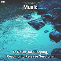 Relaxing Music, Pt. 50 - Soft Music & Relaxing Spa Music & Yoga