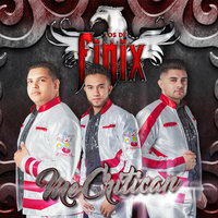 Tu Despedida - Los De Finix