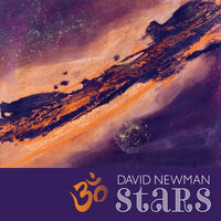 Ancient Spirals Shiva - David Newman