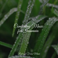 Everything Is OK - Spa & Spa & Regengeräusche & Brain Study Music Guys