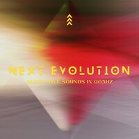 Next Evolution - The Healing Project