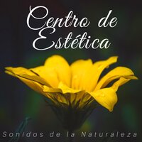 Atención y Estudio - Libertad Maestro