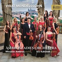 Violin Concerto in D Minor, MWV O3: II. Andante - Miroslav Ambros & Ambroš Ladies Orchestra & Феликс Мендельсон
