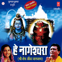 Hey Naageshwara - Anuradha Paudwal & Anand Shinde & Santosh Nayak & Vaishali Samant & Naagesh Morvekar & Nitin Diskalkar