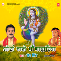 Paunahari Na Aaya Mudke - sher singh