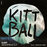 Widespread - Kant