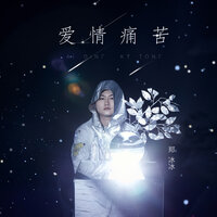 爱情痛苦 伴奏带和声 - 郑冰冰