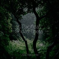 Relajación Radiante - Piano Relajante & Naturaleza Relajacion & Sonidos De Lluvia y Tormentas