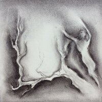 Ballet - Steven Hobert & S. Carey & FireFlyForest