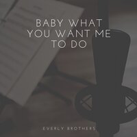 Baby What You Want Me to Do - The Everly Brothers
