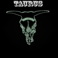 Comet Drive Master - Taurus