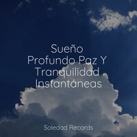 Unidad - Masajes Spas & Lluvia Relajante & Relaxar Meditação Clube