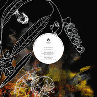 Above - Danito & Gonçalo
